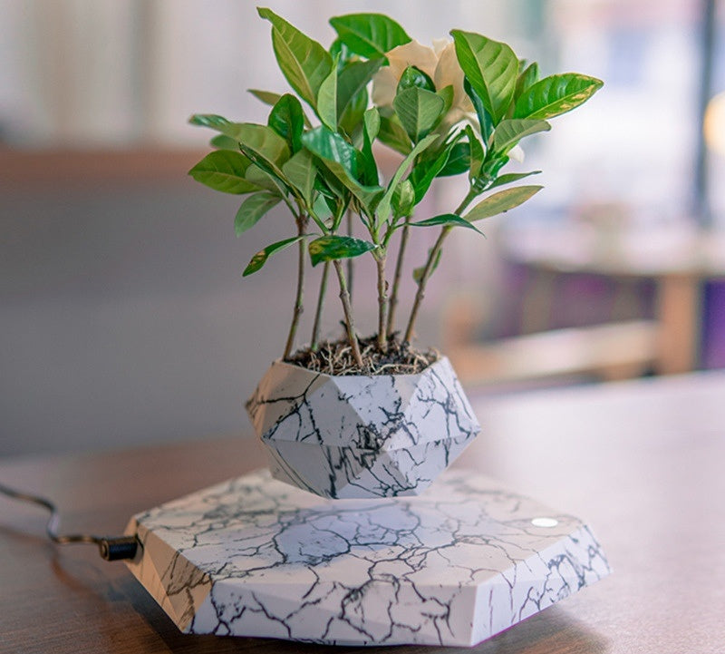 Levitating Plant Pot - ElegantHomeScapes