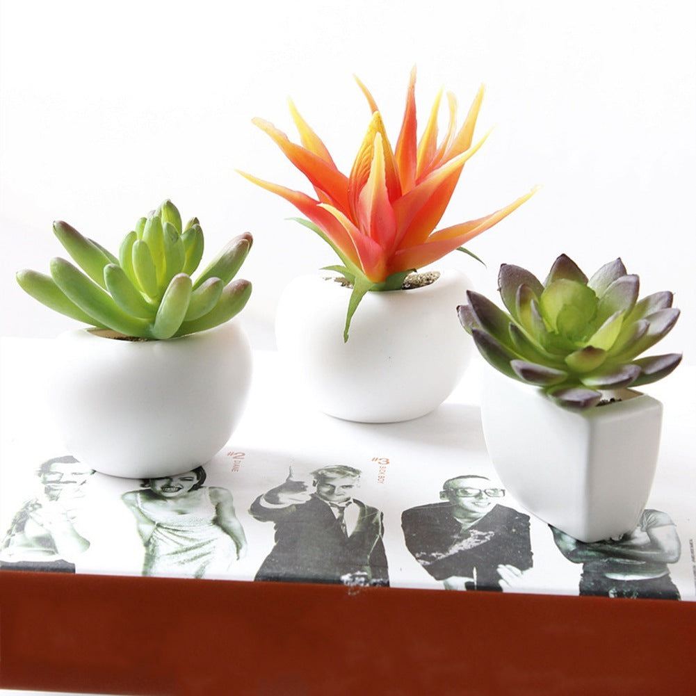 Miniature Succulent Fridge Magnets Set - ElegantHomeScapes