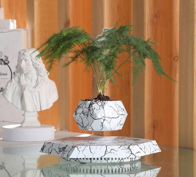 Levitating Plant Pot - ElegantHomeScapes