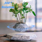 Levitating Plant Pot - ElegantHomeScapes